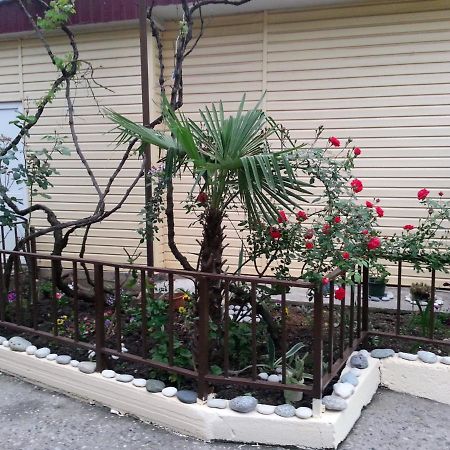גגרה Orhidea Guest House מראה חיצוני תמונה
